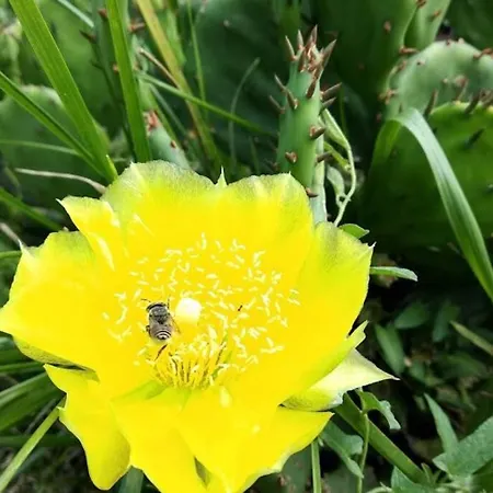 빌라 Oasis-shabla 샤블라