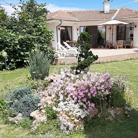 Oasis-shabla 빌라 *