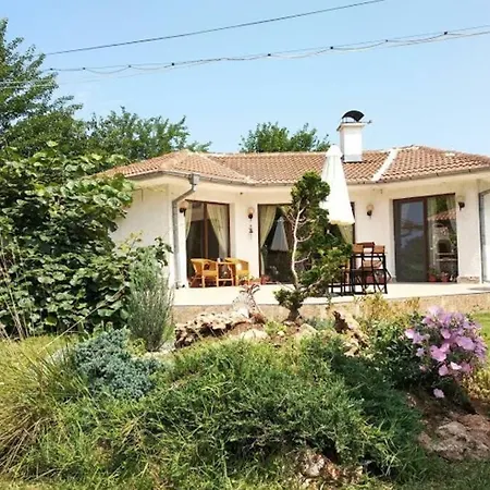 Vilă Oasis-shabla *