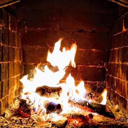 Oasis-shabla